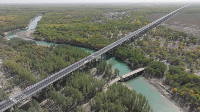 新疆叶尔羌河特大桥航拍风景