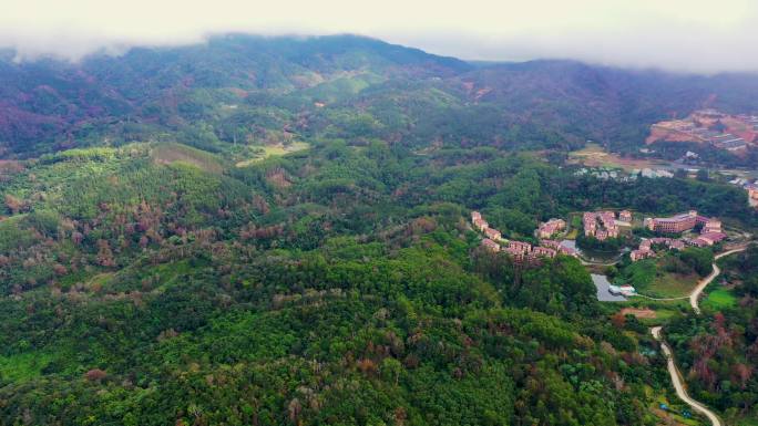 航拍五指山红叶 秋季 树林 森林 素材