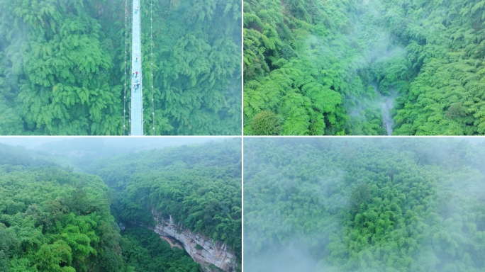 川西竹海云雾缭绕大自然航拍 4K