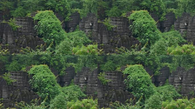 奥陶纪湖北恩施4A梭布垭石林奇特景区