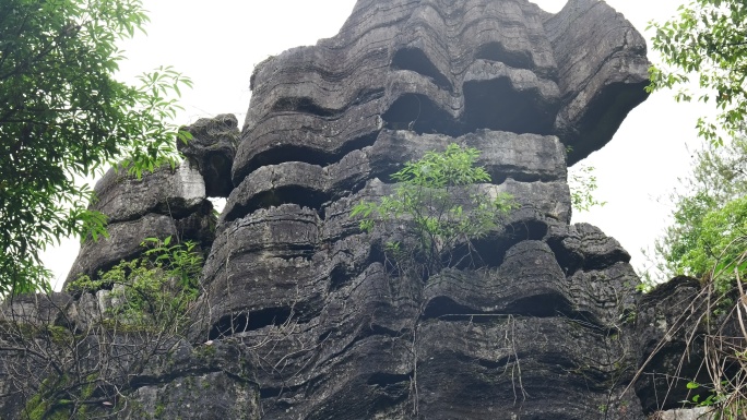 奥陶纪湖北恩施4A梭布垭石林奇特景区