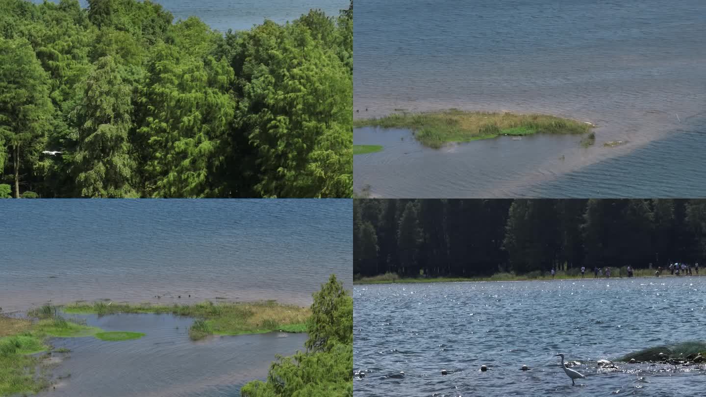 四明湖航拍生态航拍风景航拍鸟类片段合集