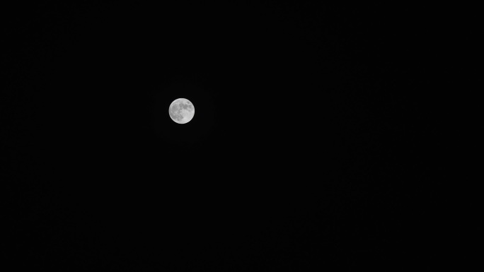 十五的月亮 圆月亮