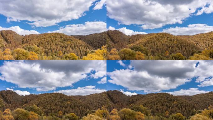 内蒙古秋季山林风景延时