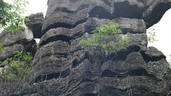 奥陶纪湖北恩施4A梭布垭石林奇特景区