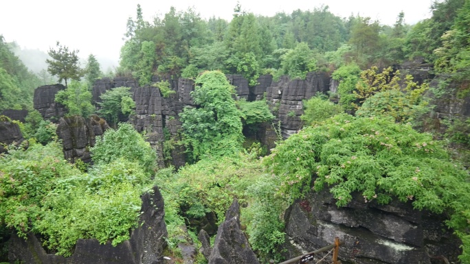 奥陶纪湖北恩施4A梭布垭石林奇特景区