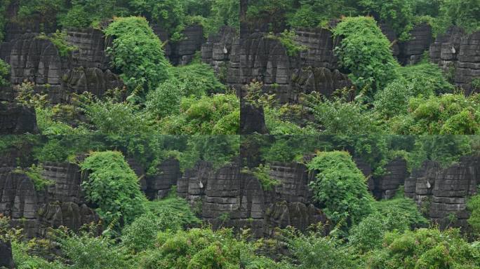 奥陶纪湖北恩施4A梭布垭石林奇特景区