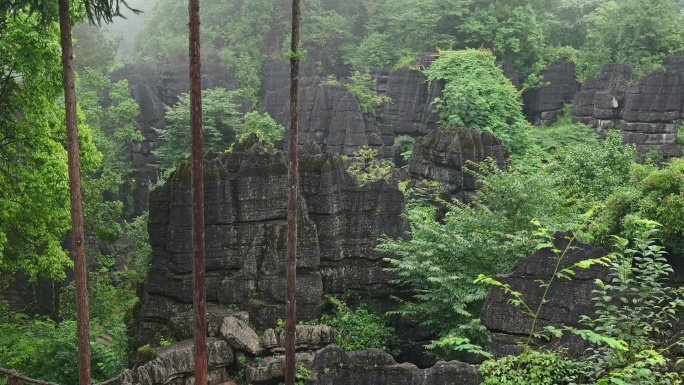 奥陶纪湖北恩施4A梭布垭石林奇特景区