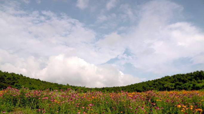 陵川县城