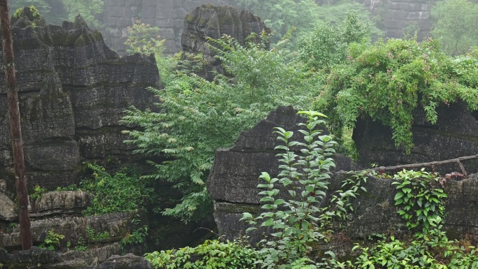 奥陶纪湖北恩施4A梭布垭石林奇特景区