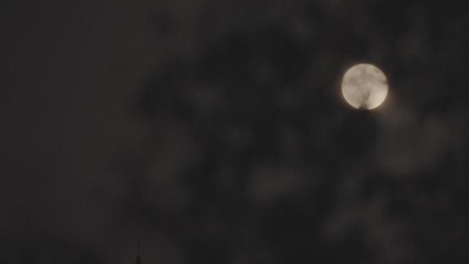 树叶后的月亮-月圆之夜树叶摇摆-实拍月亮