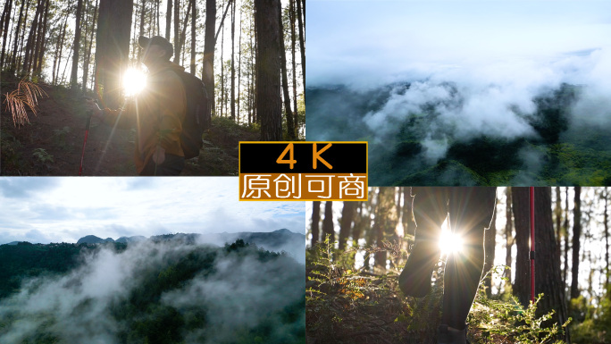 森林徒步探险行行者探险家徒步森林励志旅途