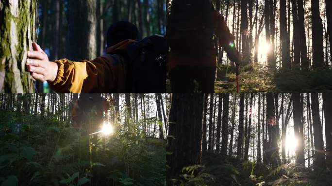 森林徒步探险行行者探险家徒步森林励志旅途