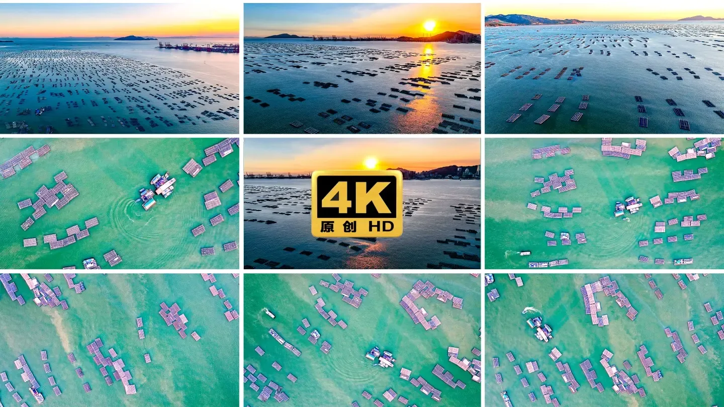 海上海鲜水产养殖基地4K航拍