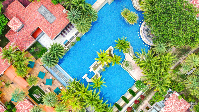 热带夏日度假椰树泳池