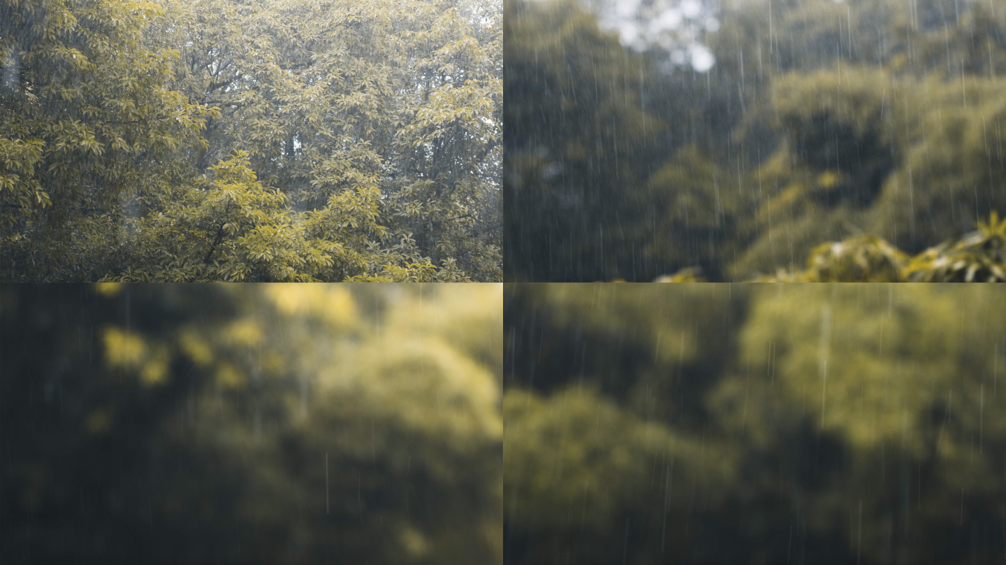 4k秋天森林雨景空镜
