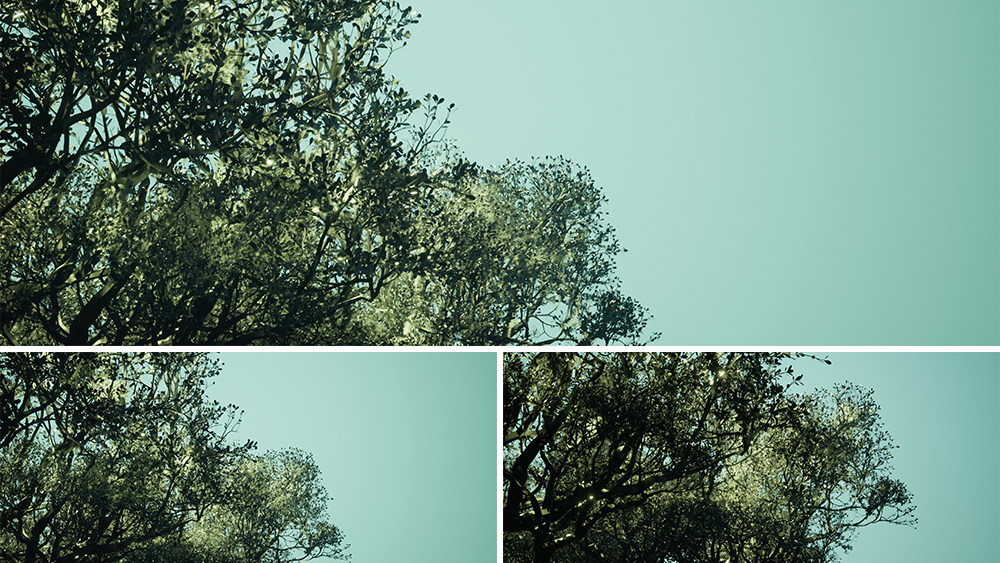【4K虚幻空间】创意空境树林概念风景视觉