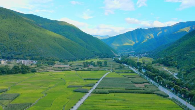 稻田素材  维西塔城