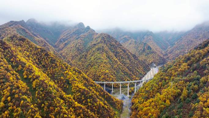 航拍秋天五彩斑斓的山林