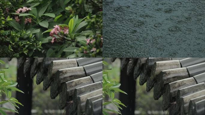 4K细雨屋檐滴水绿植意境空镜