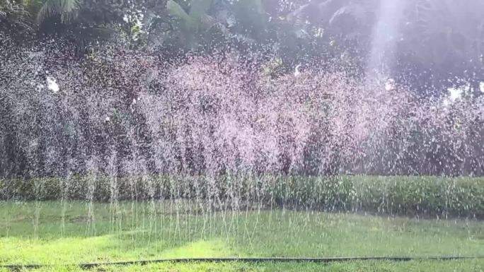 绿茵草地喷淋逆光雨绿草地洒水绿色植物淋雨