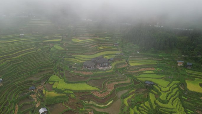 贵州加榜梯田