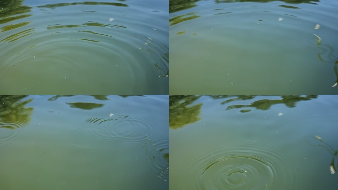 水天然水滴水纹滴水波纹波纹水资源水滴滴水