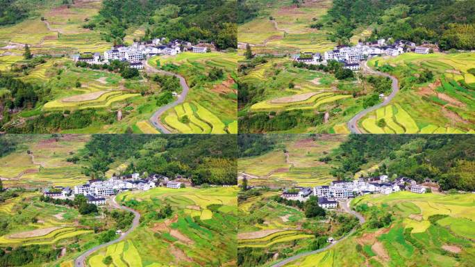 浙江仙居，杨丰山，梯田风光