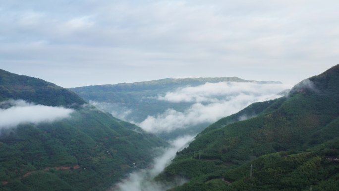 贵州山间的云海风光