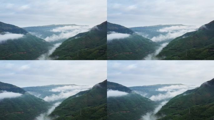贵州山间的云海风光