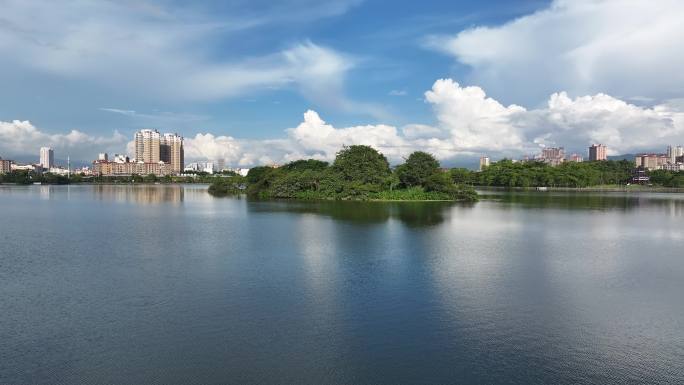 蓝天白云下的城市湿地公园