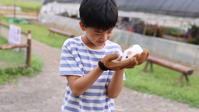 男孩拿着豚鼠 萌宠乐园