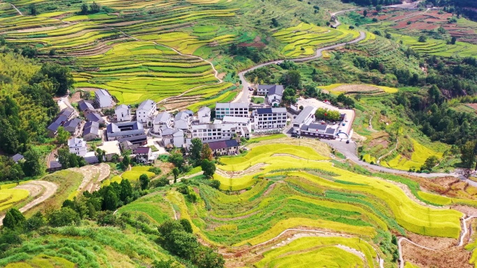 浙江仙居，杨丰山，梯田风光