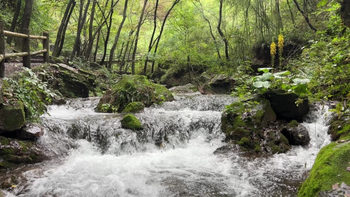 重渡沟避暑胜地