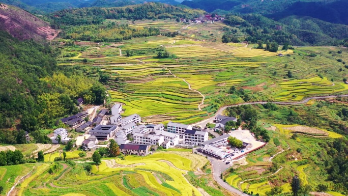 浙江仙居，杨丰山，梯田风光