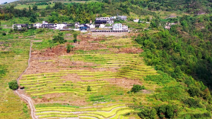 浙江仙居，杨丰山，梯田风光