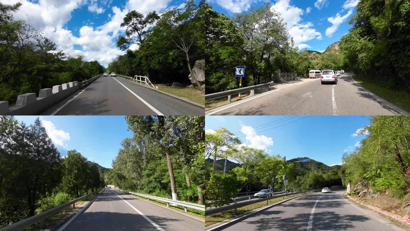 【合集】开车行驶在森林山路中自驾第一视角