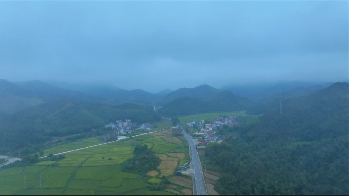 城市山区大雾 森林大雾 国道雾霾城市生态