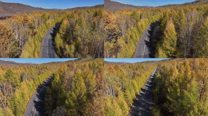 航拍呼伦贝尓秋天哈乌尔河