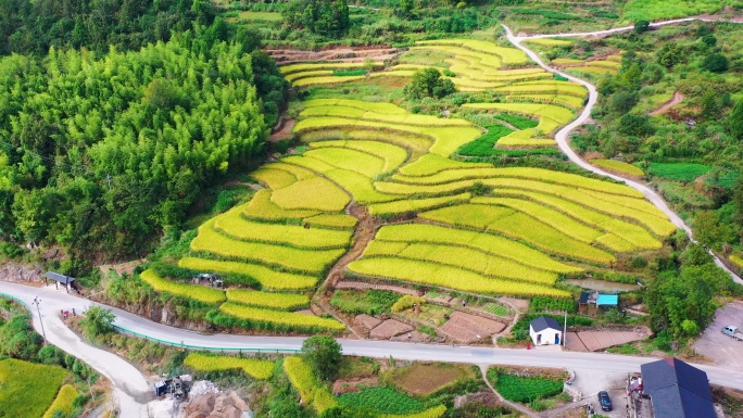 浙江仙居，杨丰山，梯田风光