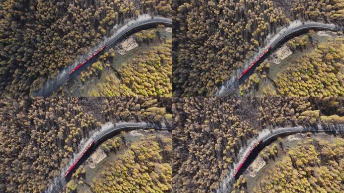 呼伦贝尔莫尔道嘎森林公园小火车