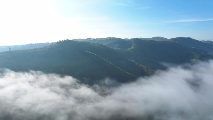 祖国山河山丘山林森林