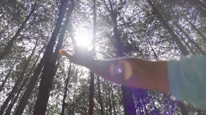 女孩森林奔跑 大树手抚摸阳光