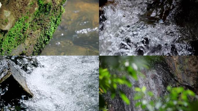 水河水水草河岸水流