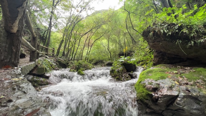 重渡沟避暑胜地