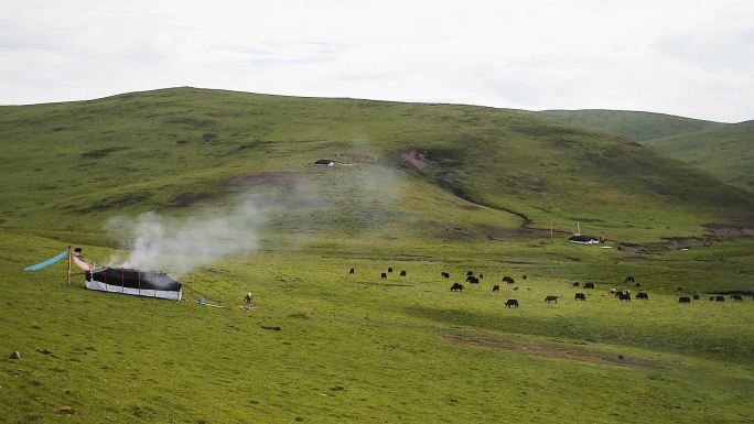 草原上的帐篷炊烟牦牛