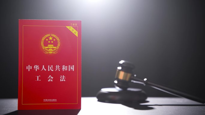 逆光下的中国工会法
