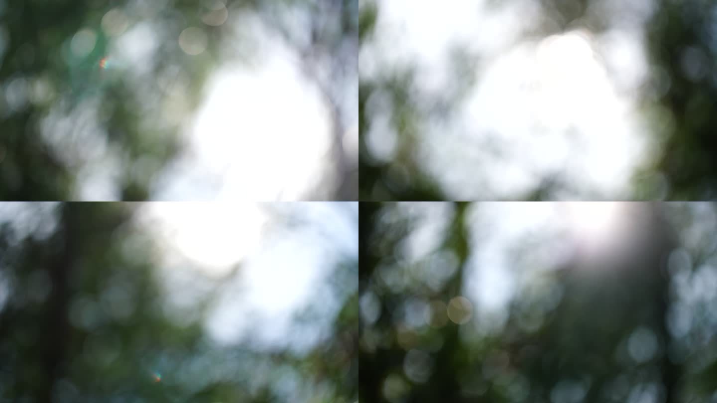 阳光树林仰拍树林虚化光斑意境空镜镜头