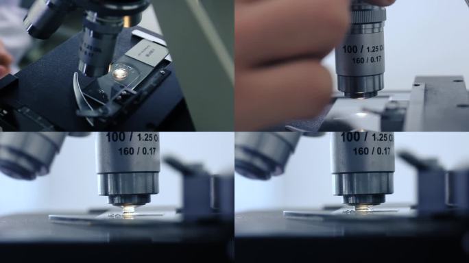 显微计数目尺显微镜操作03切换油镜头