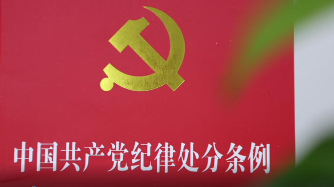 中国共产党纪律处分条例